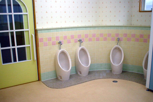 Туалет, Азия